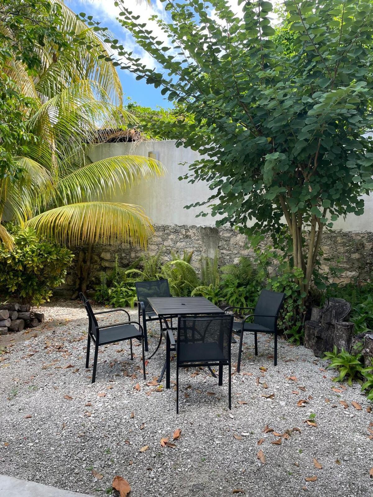 Coco Cozy Apartment Centric And Private Cozumel Kültér fotó